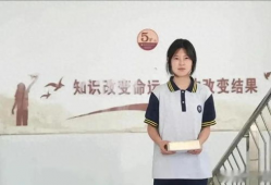 日本性插视频,一场禁忌的视觉盛宴